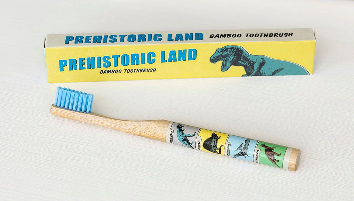 Children's Bamboo Toothbrush - Dinosaurs or Fairies Designs