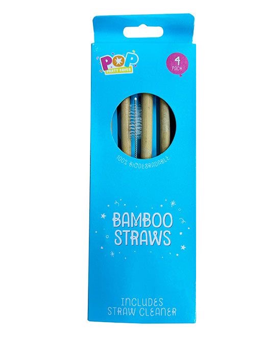 Bamboo Straws with Brush (4)